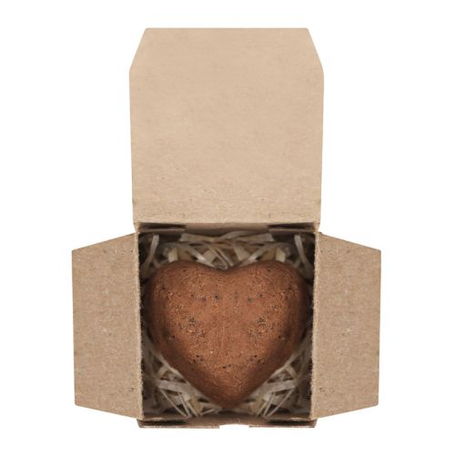 Bombe à graines en forme de cœur - image 2